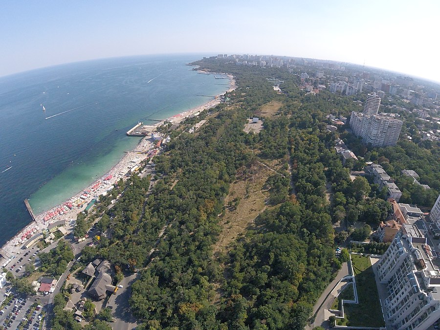 Public beach sex in Odessa